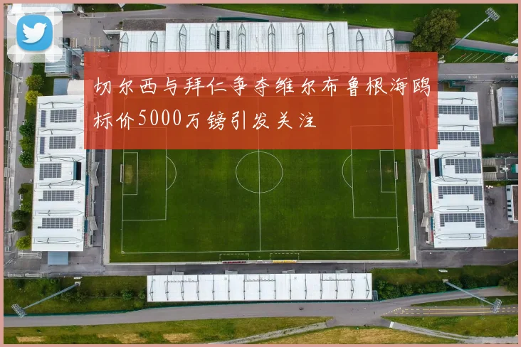切尔西与拜仁争夺维尔布鲁根海鸥标价5000万镑引发关注